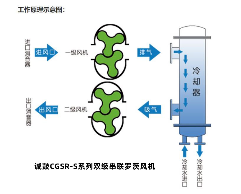 双极原理示意图.jpg